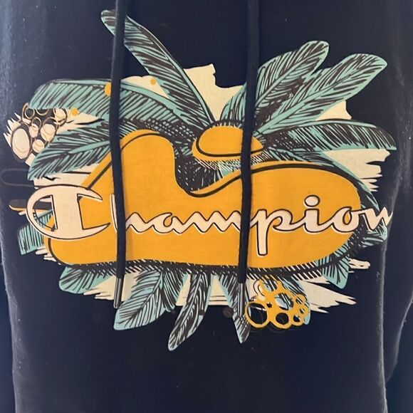 Champion Hooded Sweater - Picture 3 of 3